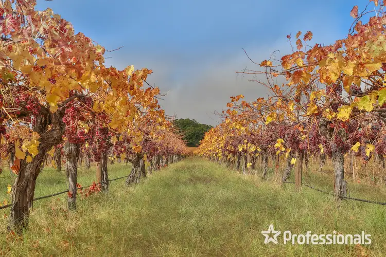 Third view of Homely rural property listing, Lot 3/90 Sunnycliffs Crescent, Sunnycliffs VIC 3496