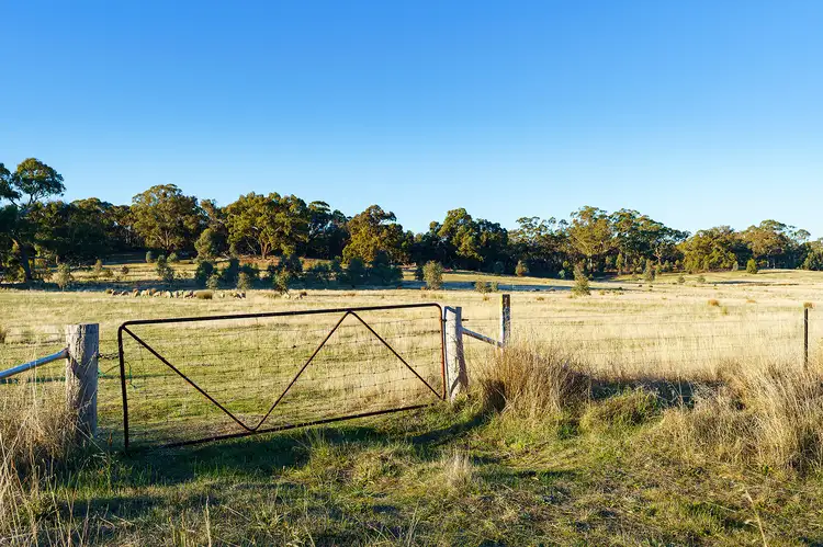 Fourth view of Homely land listing, Castlemaine-Maldon Road, Muckleford VIC 3451