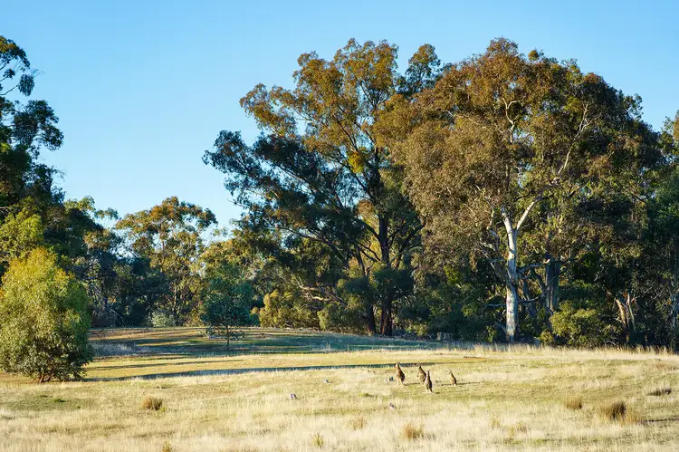Sixth view of Homely land listing, Castlemaine-Maldon Road, Muckleford VIC 3451