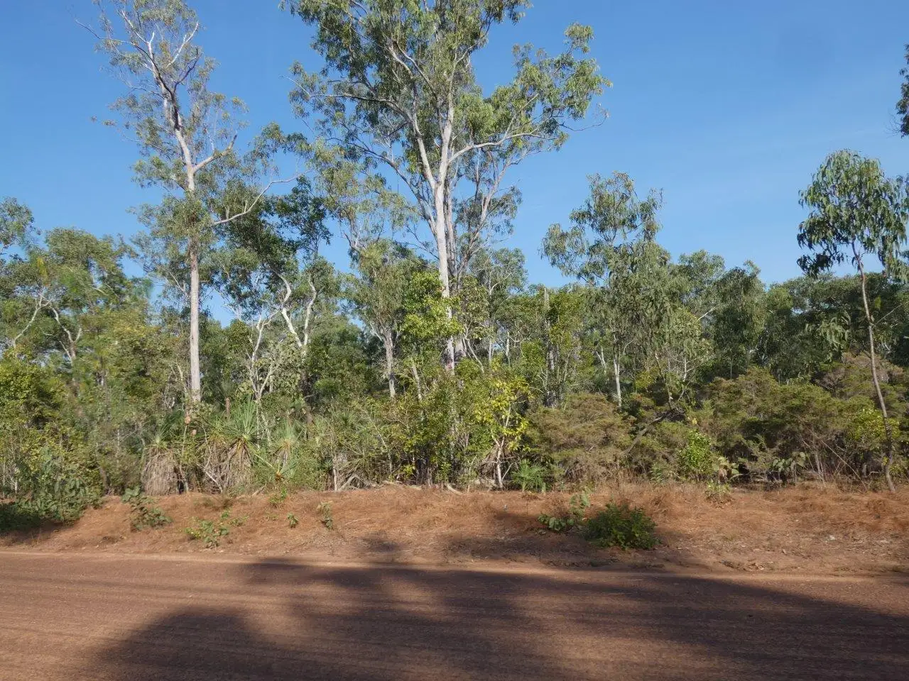 Main view of Homely land listing, LOT 3739, 655 Launceston Road, Dundee Beach NT 840