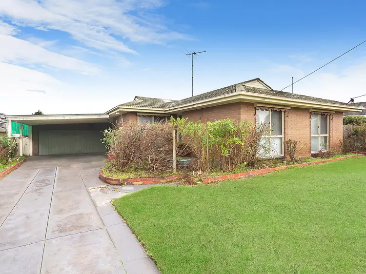 Second view of Homely house listing, 3 Sullivan Court, Belmont VIC 3216