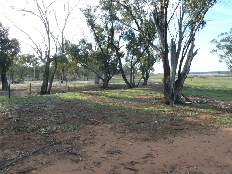 Fourth view of Homely rural property listing, 11 Golf Park Drive, Charlton VIC 3525