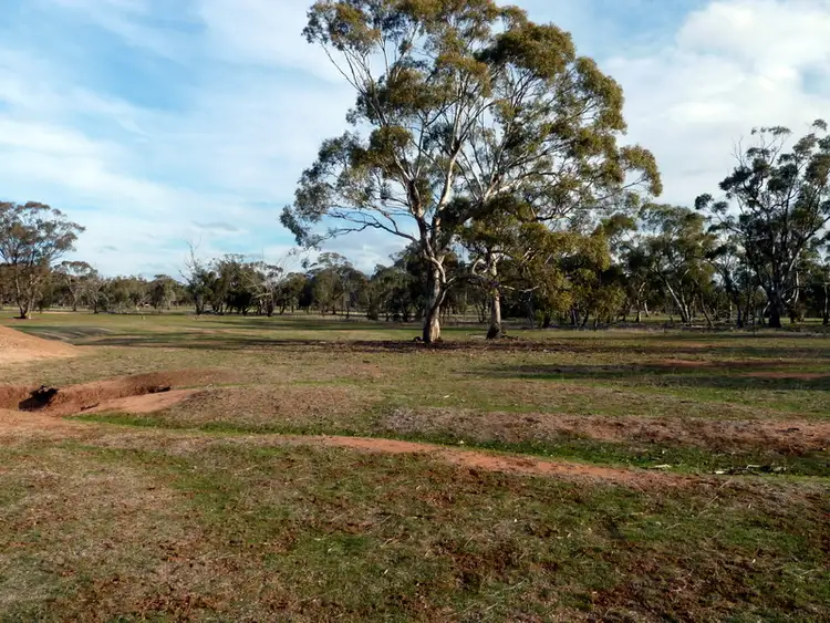 Fifth view of Homely rural property listing, 11 Golf Park Drive, Charlton VIC 3525