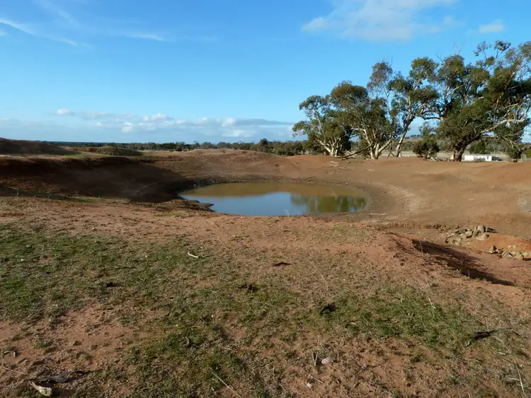 Sixth view of Homely rural property listing, 11 Golf Park Drive, Charlton VIC 3525