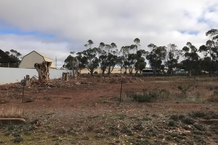 Fifth view of Homely rural property listing, Level 27 Mitchell Street, Terowie SA 5421
