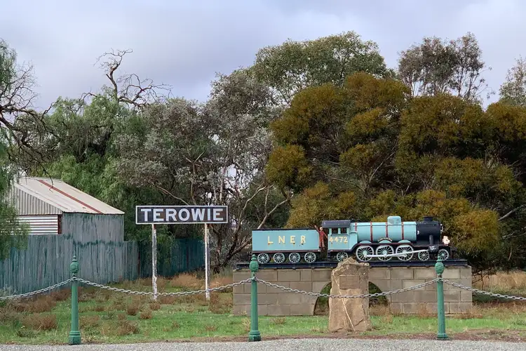 Sixth view of Homely rural property listing, Level 27 Mitchell Street, Terowie SA 5421
