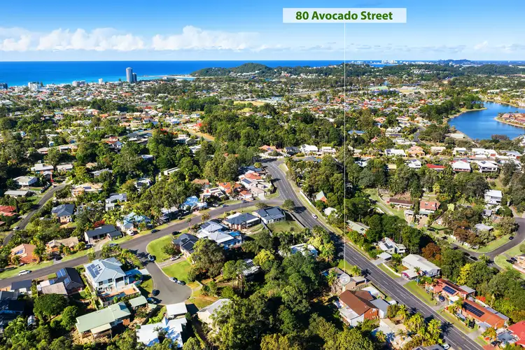 80 Avocado Street, Elanora QLD 4221