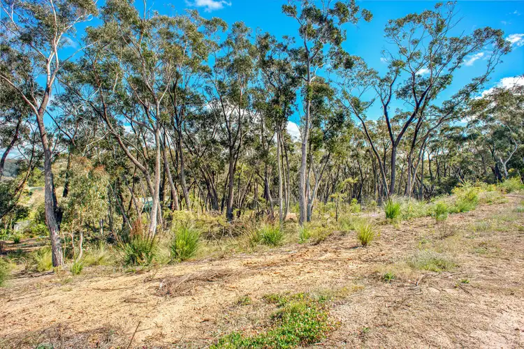 60 St Elmo Avenue, Blackheath NSW 2785