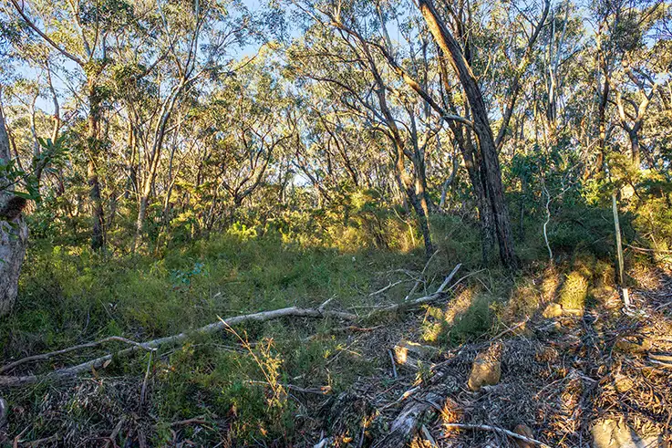Second view of Homely land listing, 11 Myall Avenue, Leura NSW 2780