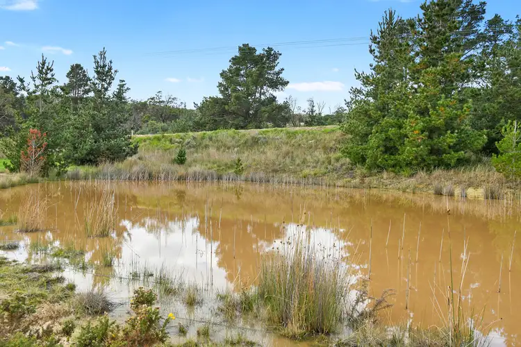 Fourth view of Homely land listing, 4 Edith Close, Forcett TAS 7173