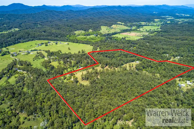 Third view of Homely rural property listing, 1 Freida Hicks Drive, Bellingen NSW 2454