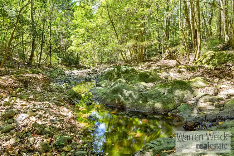 Seventh view of Homely rural property listing, 1 Freida Hicks Drive, Bellingen NSW 2454