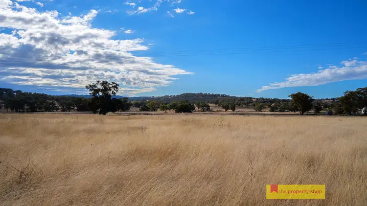 298 Gollan Road, Mudgee NSW 2850