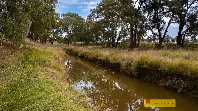 Fifth view of Homely rural property listing, 298 Gollan Road, Mudgee NSW 2850
