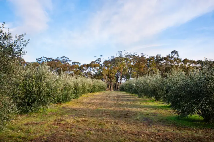 Fourth view of Homely land listing, LOT 2 Davis Street, Guildford VIC 3451