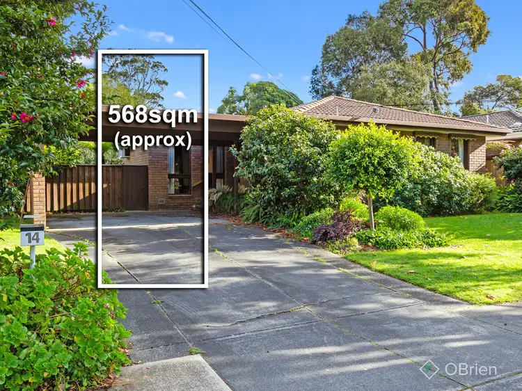 Main view of Homely house listing, 14 Crimson Avenue, Blackburn South VIC 3130