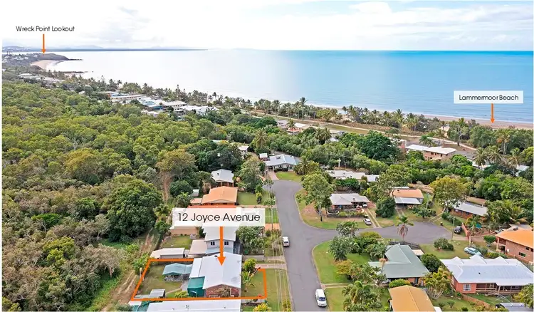 Main view of Homely house listing, 12 Joyce Avenue, Lammermoor QLD 4703