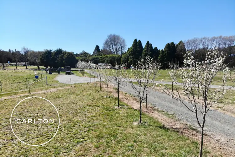 Fifth view of Homely rural property listing, 5857 Illawarra Highway, Avoca NSW 2577
