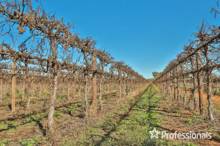 Second view of Homely rural property listing, 5 Bate Lane & Lots 398 And 399 Coorong Avenue, Red Cliffs VIC 3496
