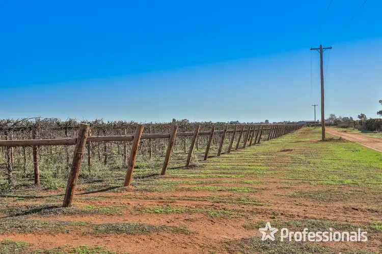 Seventh view of Homely rural property listing, 5 Bate Lane & Lots 398 And 399 Coorong Avenue, Red Cliffs VIC 3496