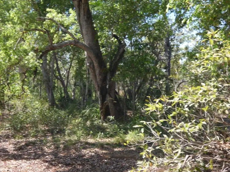 Main view of Homely land listing, 10 Willey Road, Fly Creek NT 822
