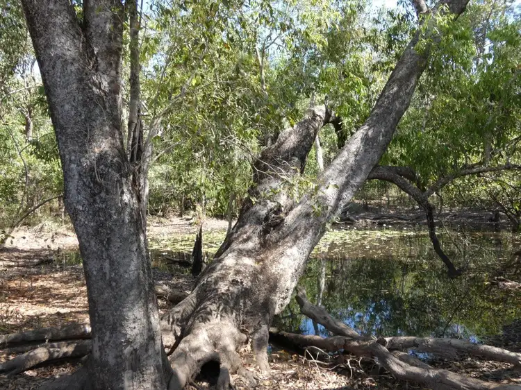 Third view of Homely land listing, 10 Willey Road, Fly Creek NT 822