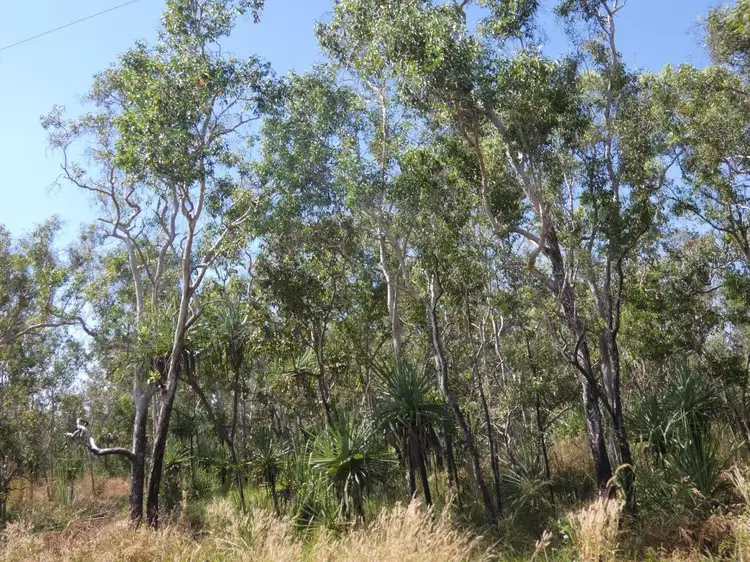 Fourth view of Homely land listing, 10 Willey Road, Fly Creek NT 822