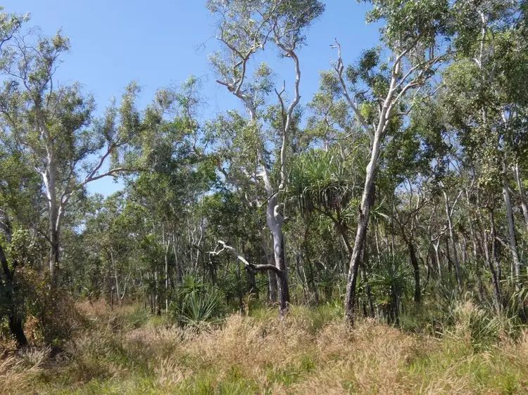 Fifth view of Homely land listing, 10 Willey Road, Fly Creek NT 822