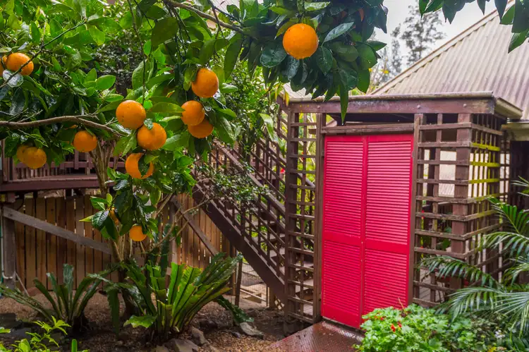 Second view of Homely house listing, 10/78 Cecil Street, Nimbin NSW 2480