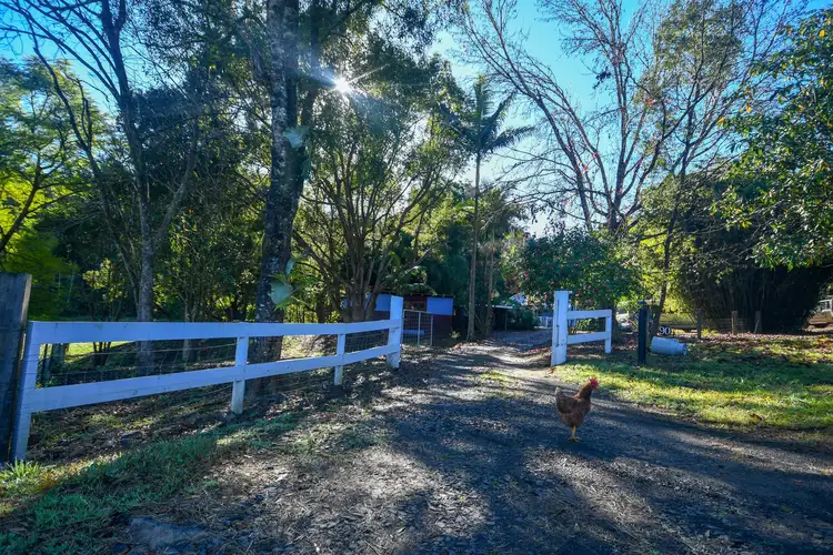 Fourth view of Homely rural property listing, 90 Anderson Road, Nimbin NSW 2480