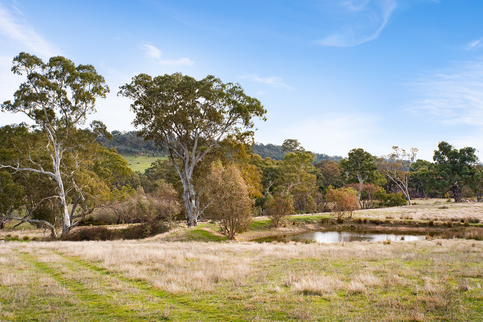 Sixth view of Homely land listing, LOT 22 Harmony Way, Faraday VIC 3451