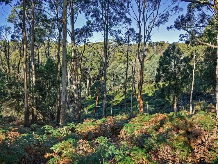 Sixth view of Homely land listing, Lot C Jones Road, Premaydena TAS 7185