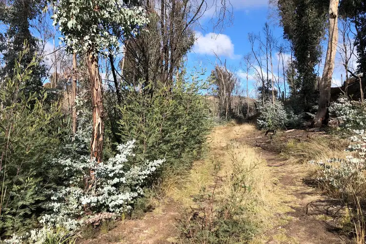 Third view of Homely rural property listing, 540 Victoria Falls Road, Cobungra VIC 3898