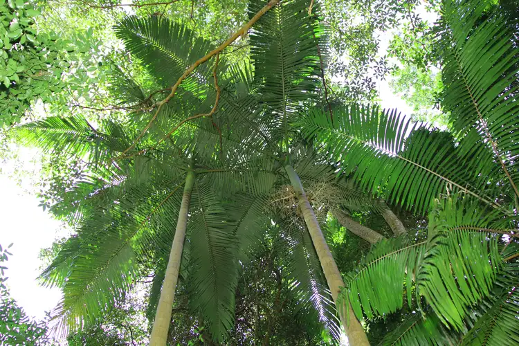 Seventh view of Homely house listing, 7 High Street, Nimbin NSW 2480