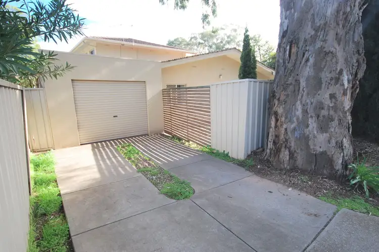 1/8 Vine Street, Magill SA 5072