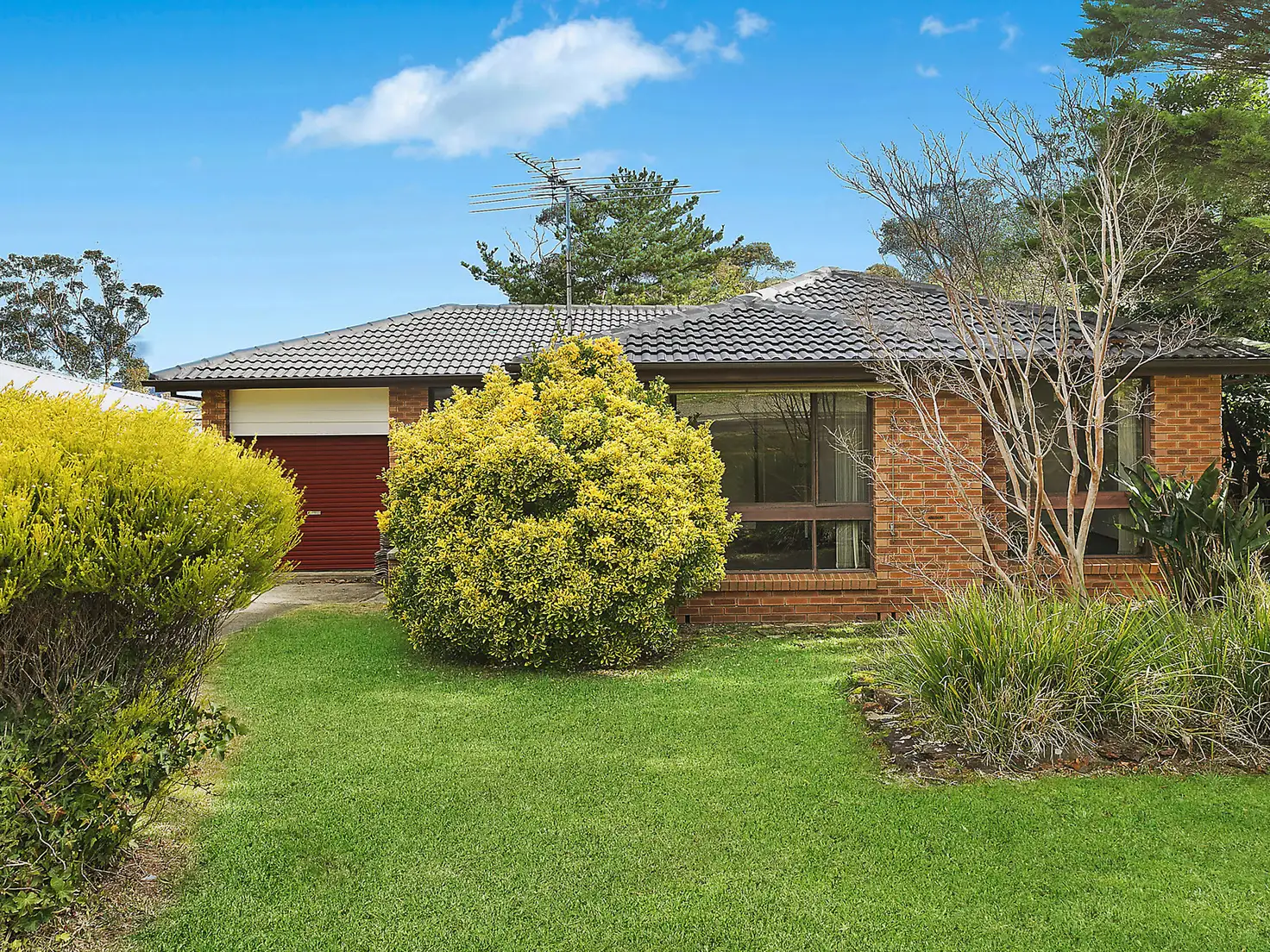Main view of Homely house listing, 49 Tableland Road, Wentworth Falls NSW 2782
