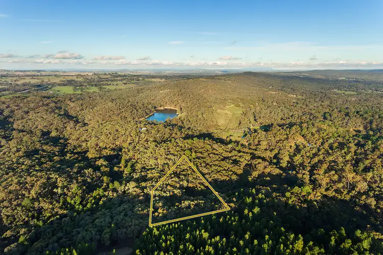 Main view of Homely rural property listing, 149 Llewellyn Road, Chewton VIC 3451