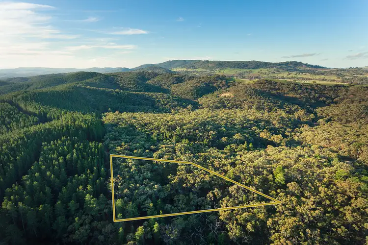 Second view of Homely rural property listing, 149 Llewellyn Road, Chewton VIC 3451