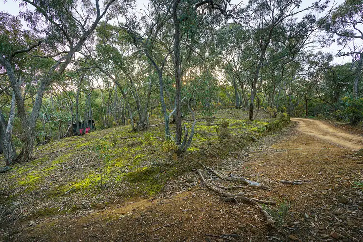 Fourth view of Homely rural property listing, 149 Llewellyn Road, Chewton VIC 3451