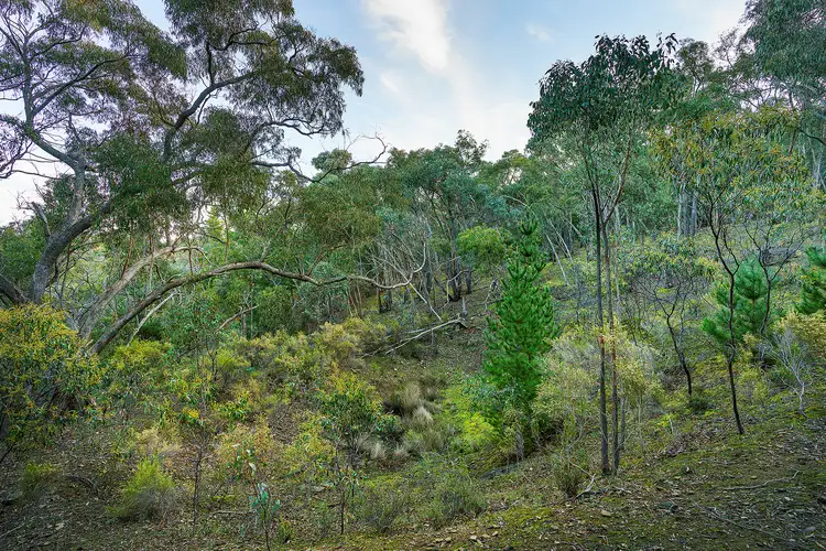 Fifth view of Homely rural property listing, 149 Llewellyn Road, Chewton VIC 3451