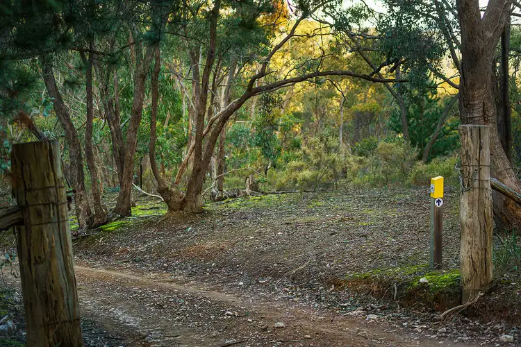 Seventh view of Homely rural property listing, 149 Llewellyn Road, Chewton VIC 3451