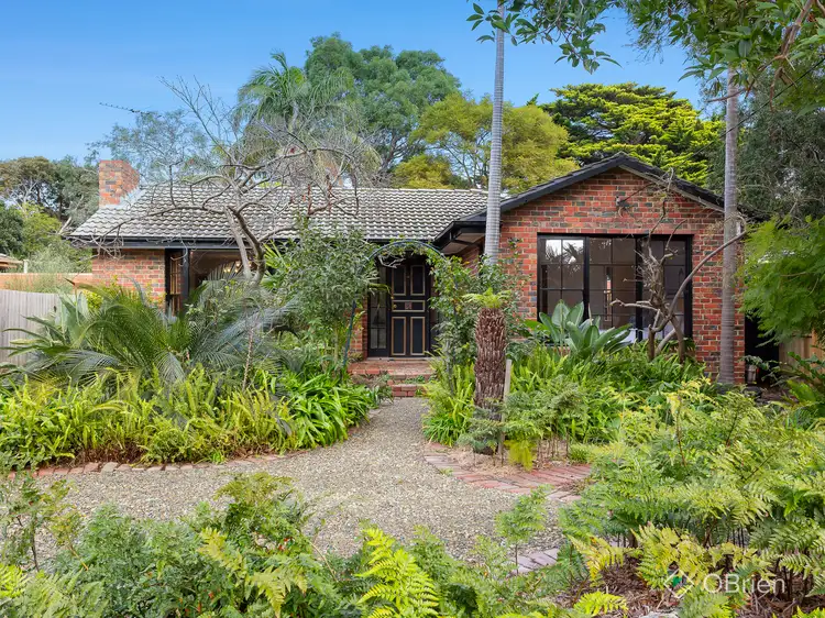 16 Broome Avenue, Mentone VIC 3194