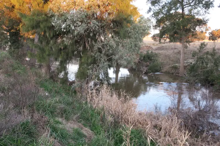 Sixth view of Homely rural property listing, 2305 Goolma Road, Goolma NSW 2852