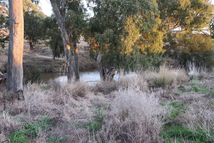 Seventh view of Homely rural property listing, 2305 Goolma Road, Goolma NSW 2852
