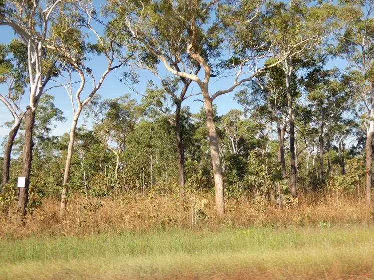 Third view of Homely land listing, 375 Monaghan Road, Lloyd Creek NT 822