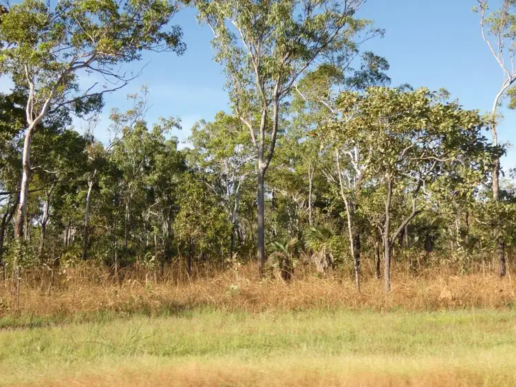Fourth view of Homely land listing, 375 Monaghan Road, Lloyd Creek NT 822