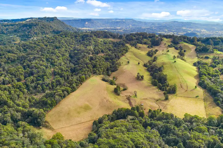Fifth view of Homely rural property listing, 1242 Tuntable Creek Road, Nimbin NSW 2480