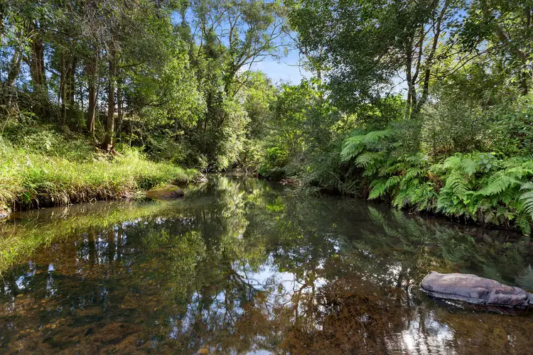 Sixth view of Homely rural property listing, 1242 Tuntable Creek Road, Nimbin NSW 2480