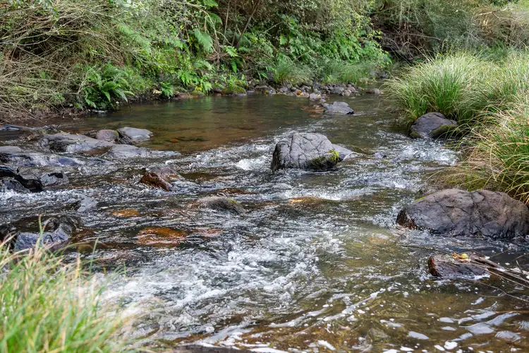 Seventh view of Homely rural property listing, 1242 Tuntable Creek Road, Nimbin NSW 2480