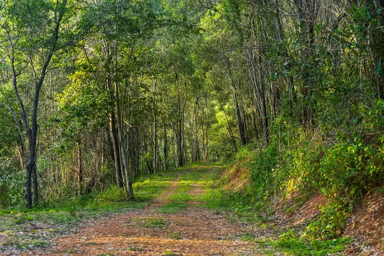 Fifth view of Homely house listing, 89 Woods Road, Closeburn QLD 4520